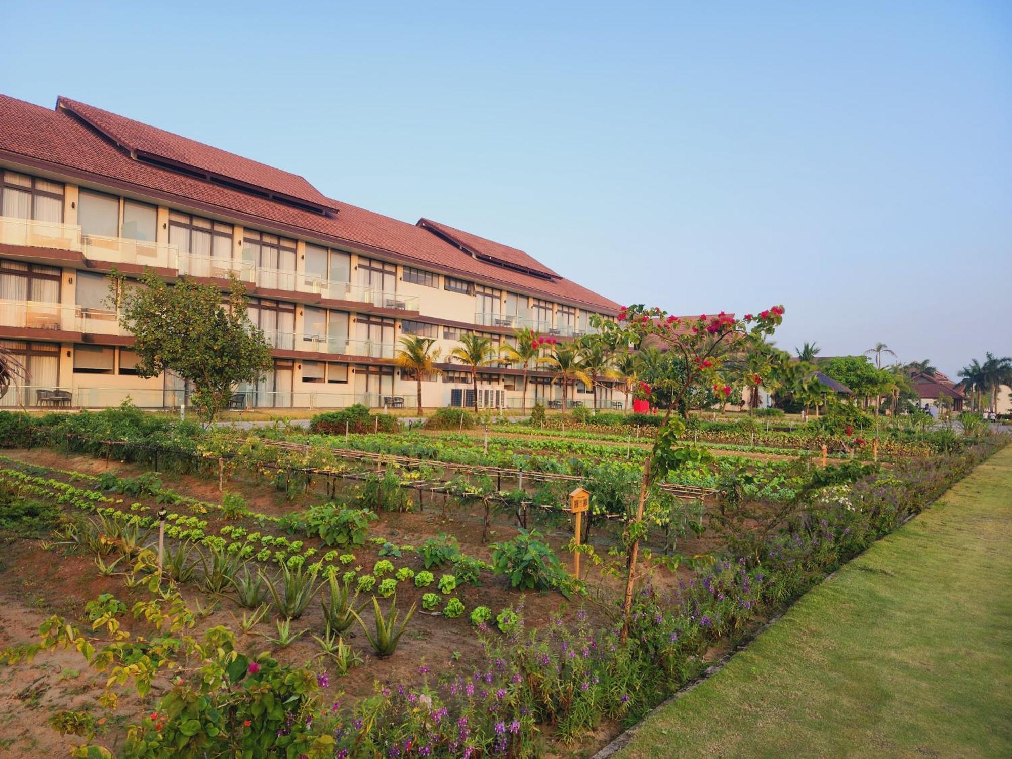 Tui Blue Nam Hoi An 5* Tam Ky