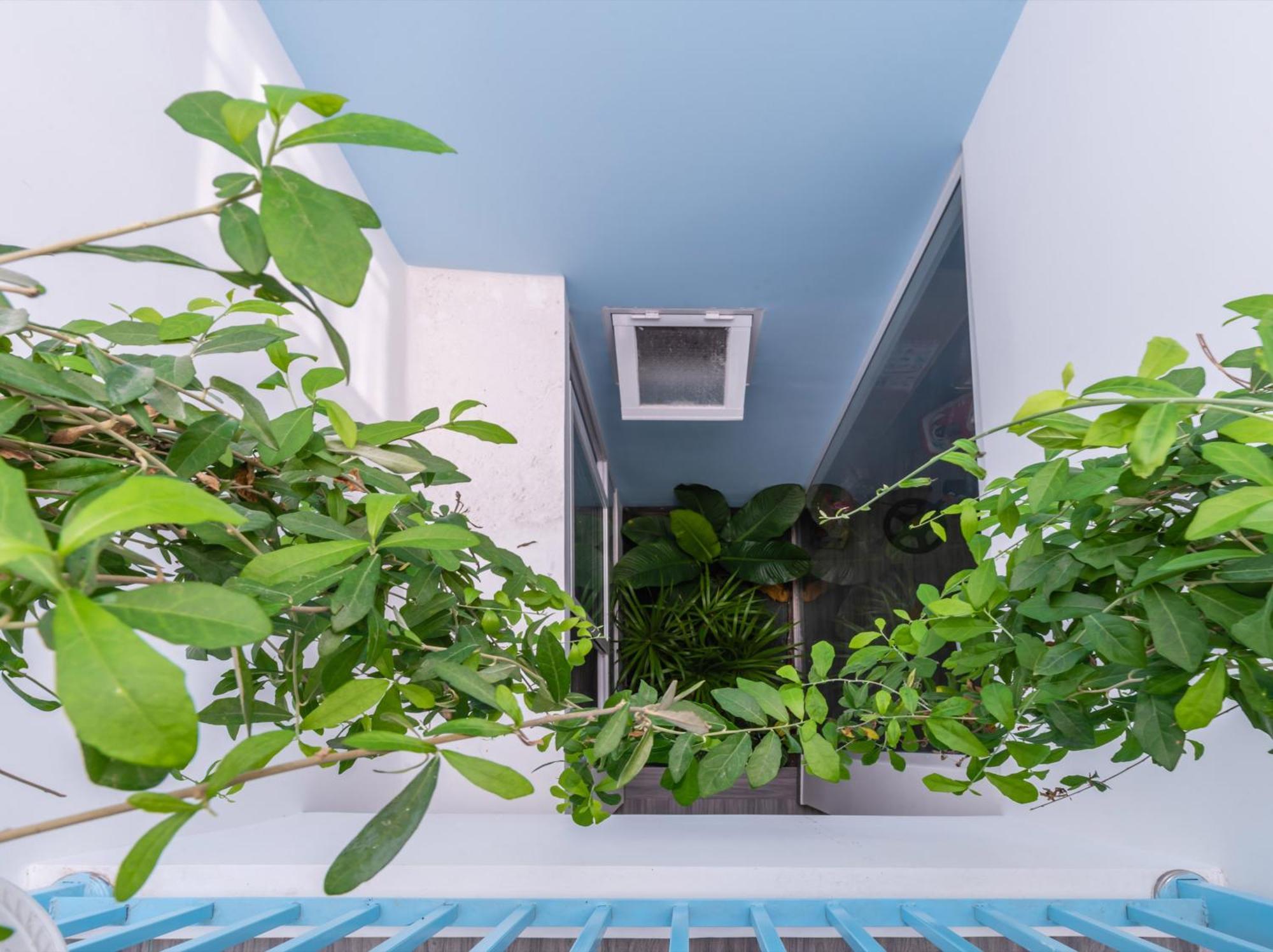 Co Tu's Homestay