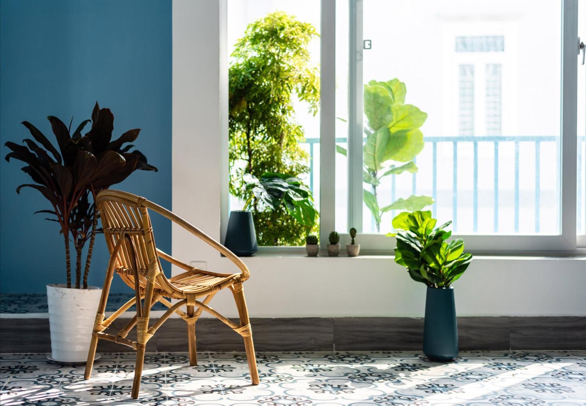 Homestay Co Tu's Phan Thiet