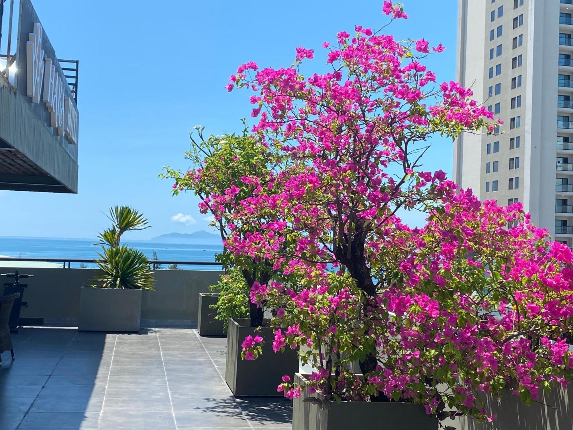 Haka Boutique Hotel