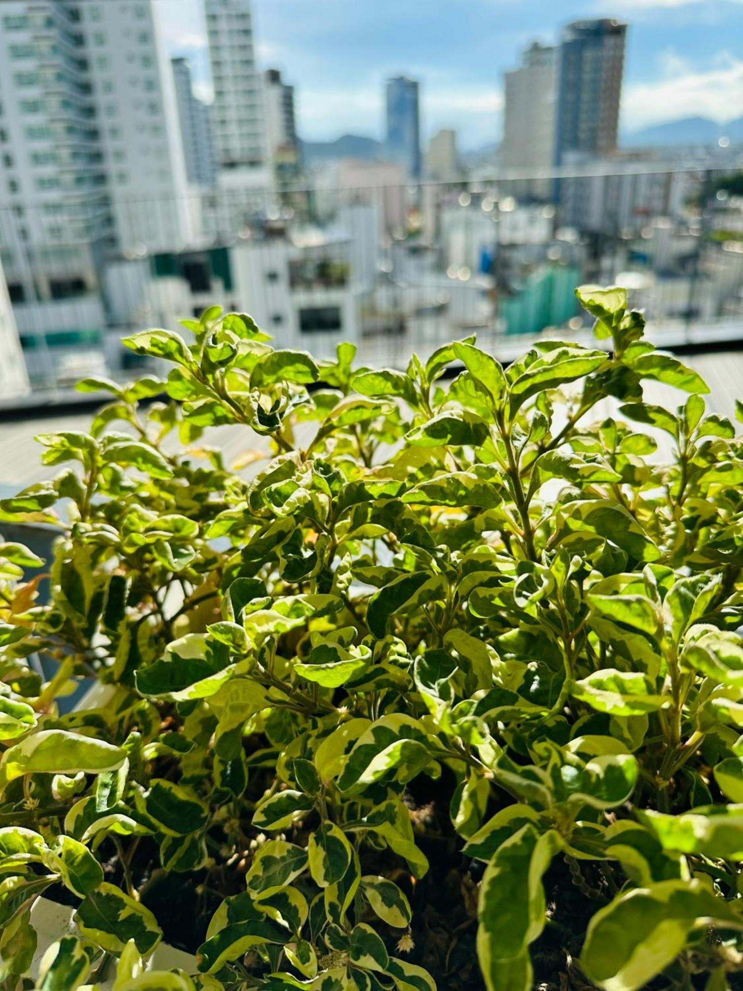 L'apartment And Signature Tours - Panorama