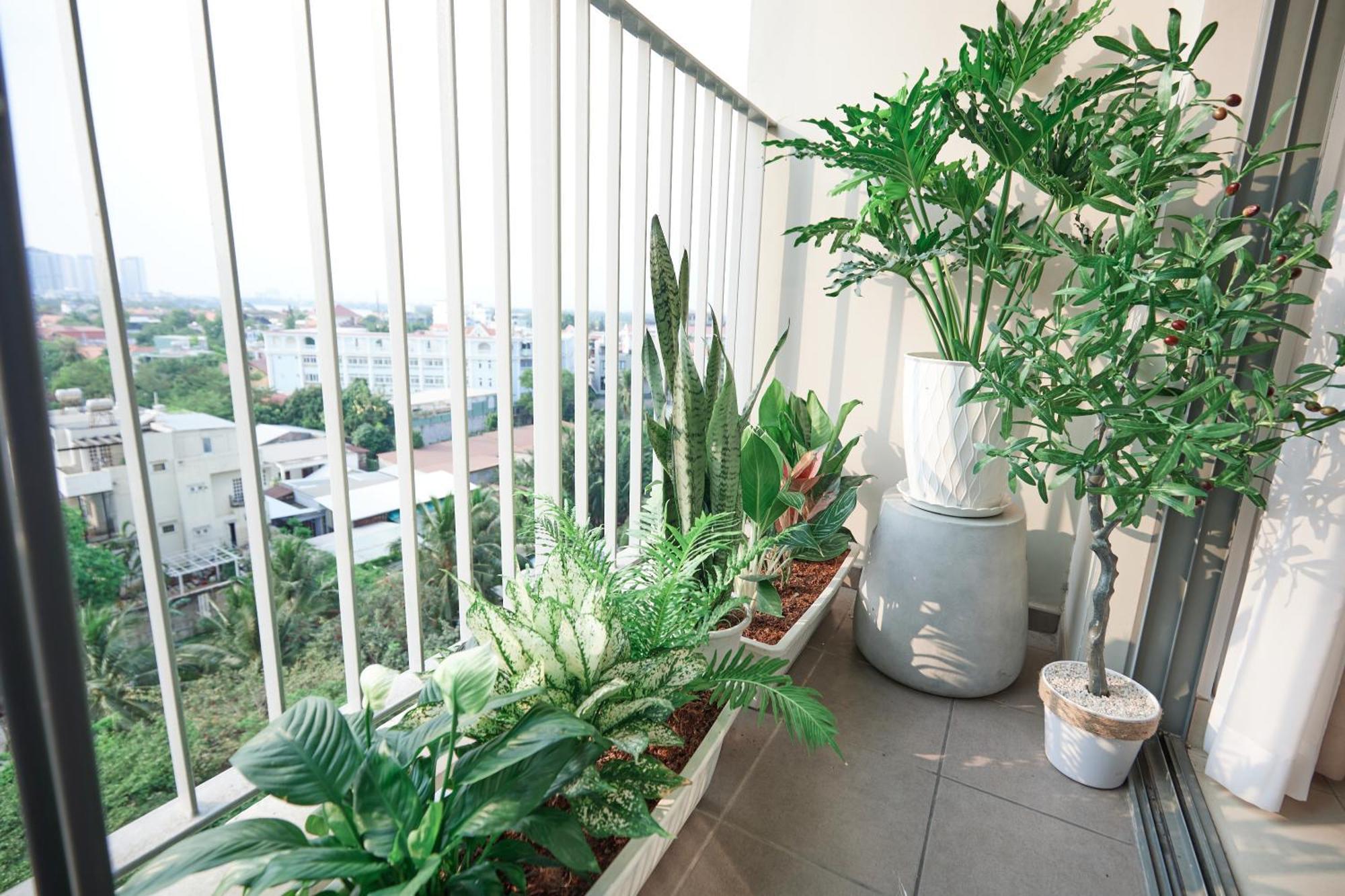 Masteri Thao Dien By Aura Luxury TP. Hồ Chí Minh