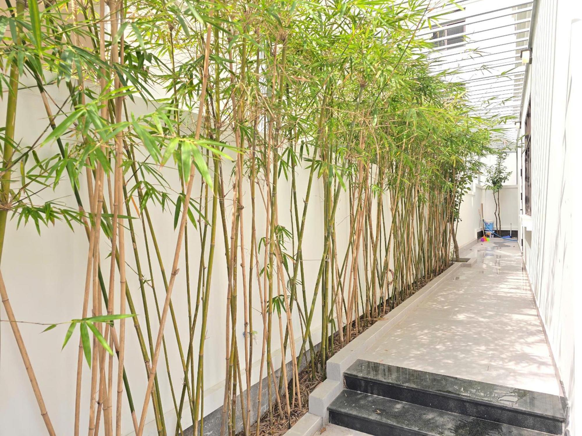 Cho Nghi Cho Thue Trong Ngay Di Bo Ra Bai Sau 173 Apartment Vung Tau