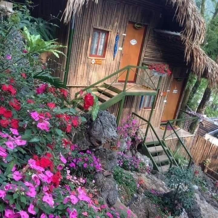 Nhà trọ Hill & Tour