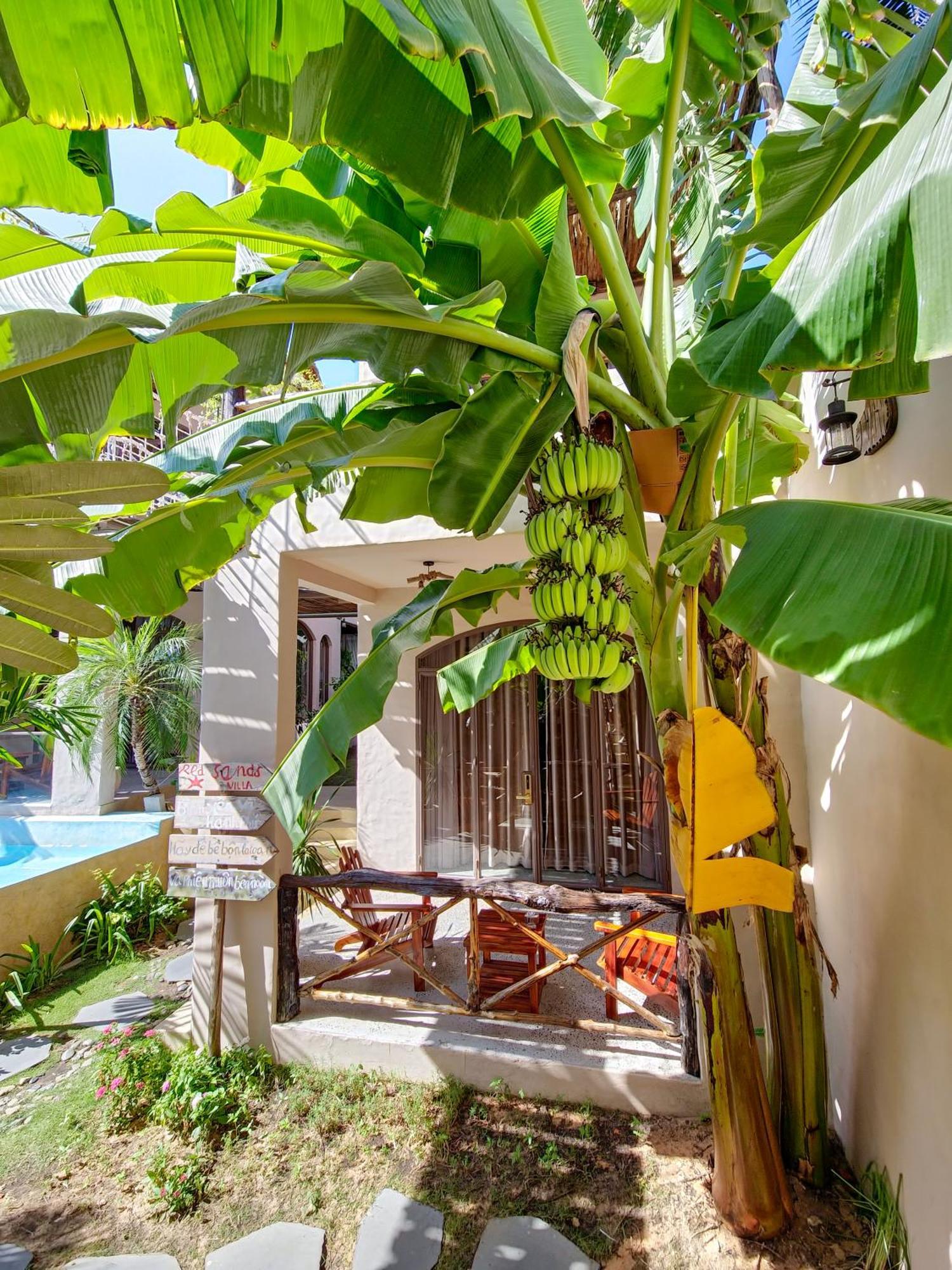 Hotel Red Sands Mui Ne Phan Thiet