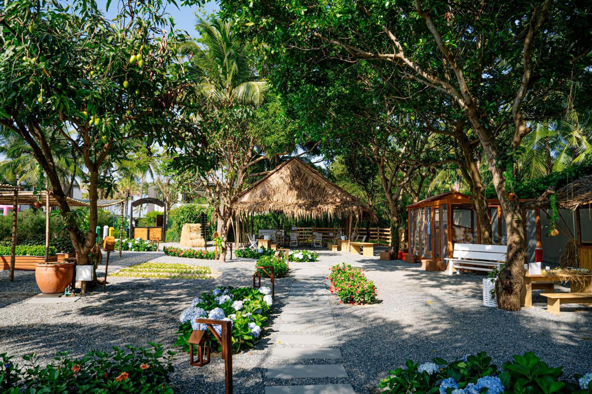 Hyatt Regency And Resort