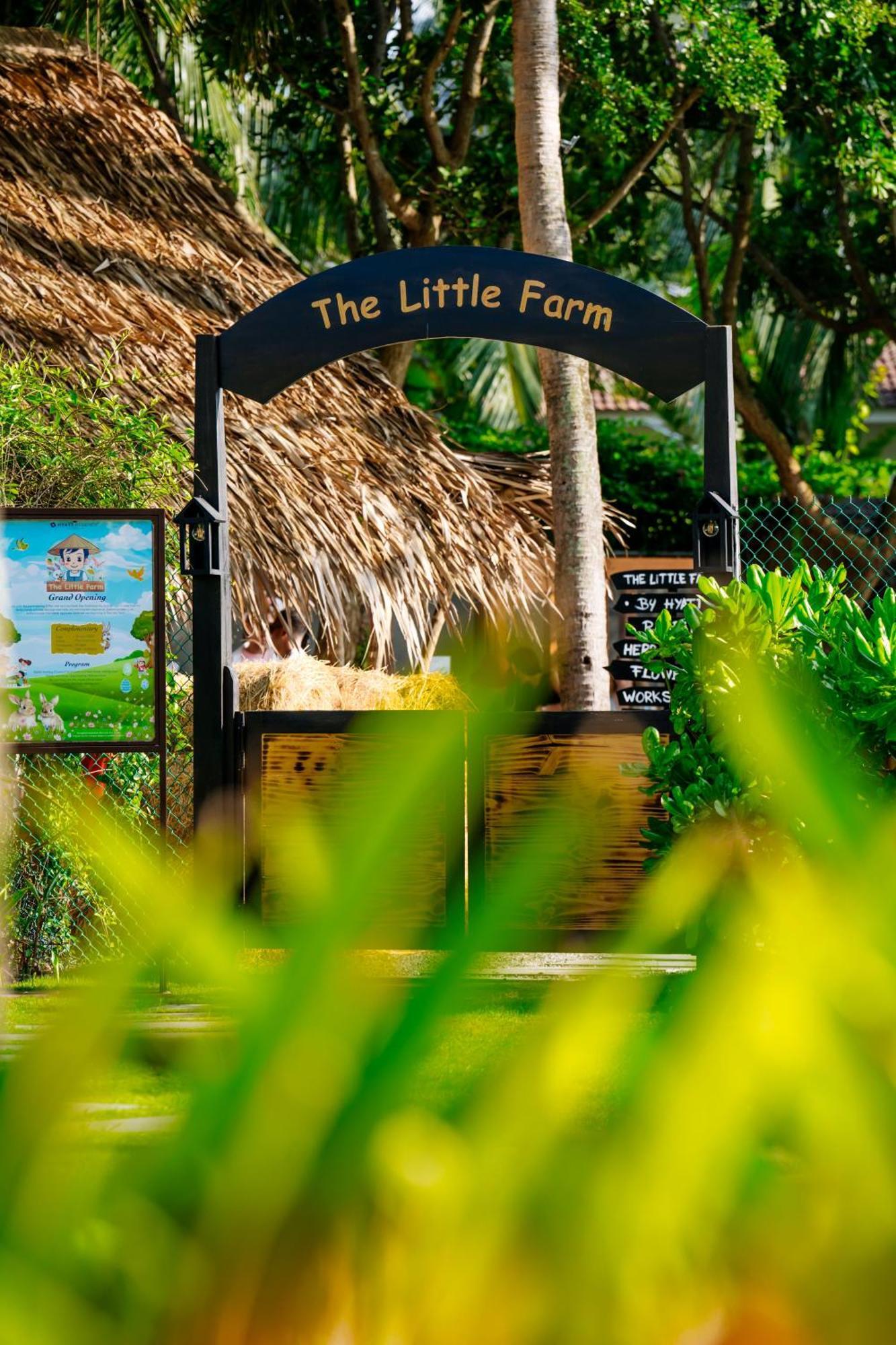 Resort Hyatt Regency And 5*