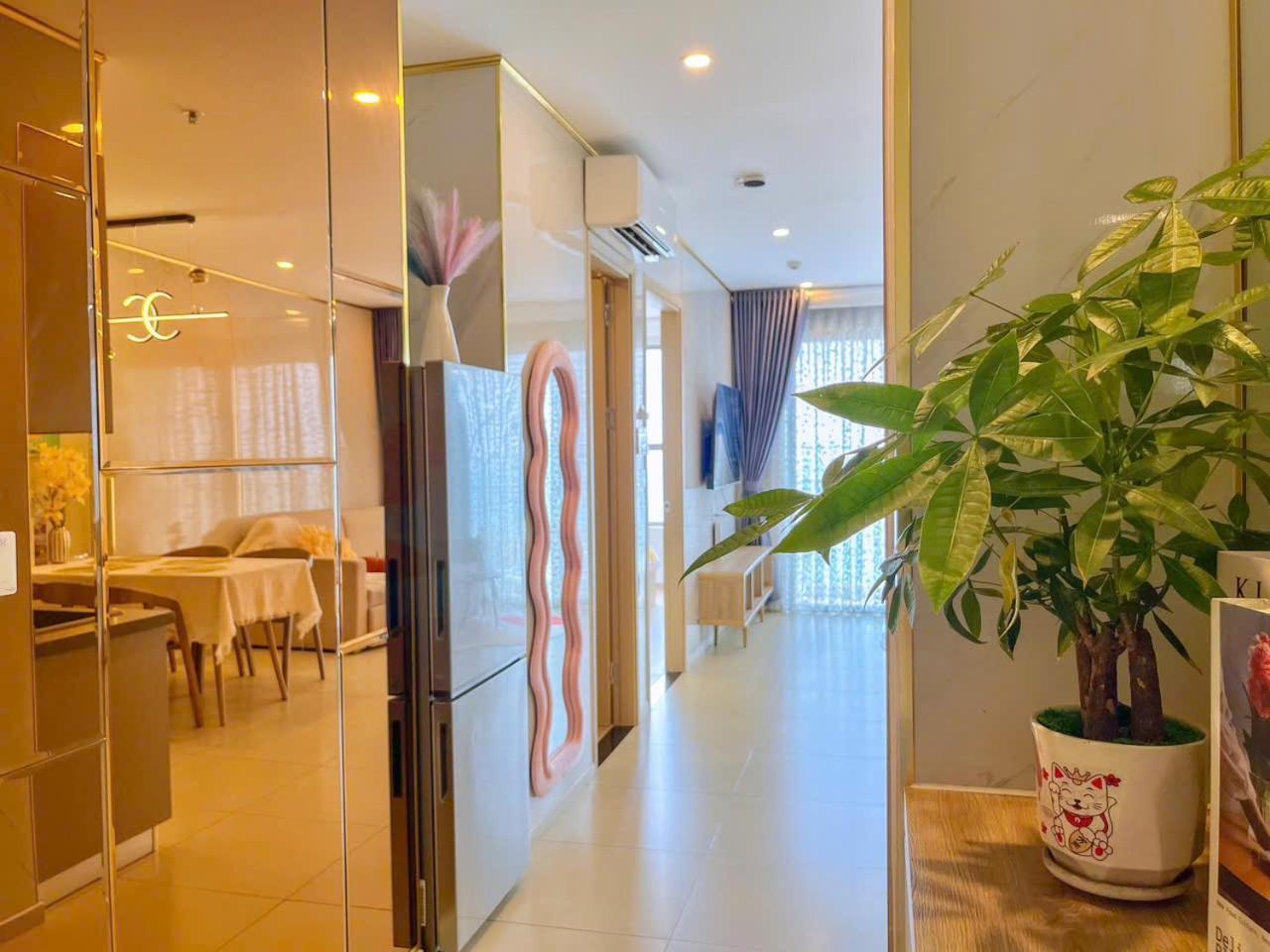 Homestay The Song - Can Ho Du Lich Gia Re, Day Du Tien Nghi Ra Bien 200M Apartment