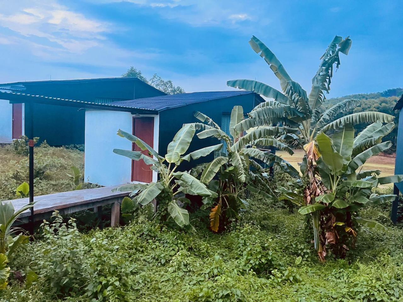 Nguyen Shack Retreat