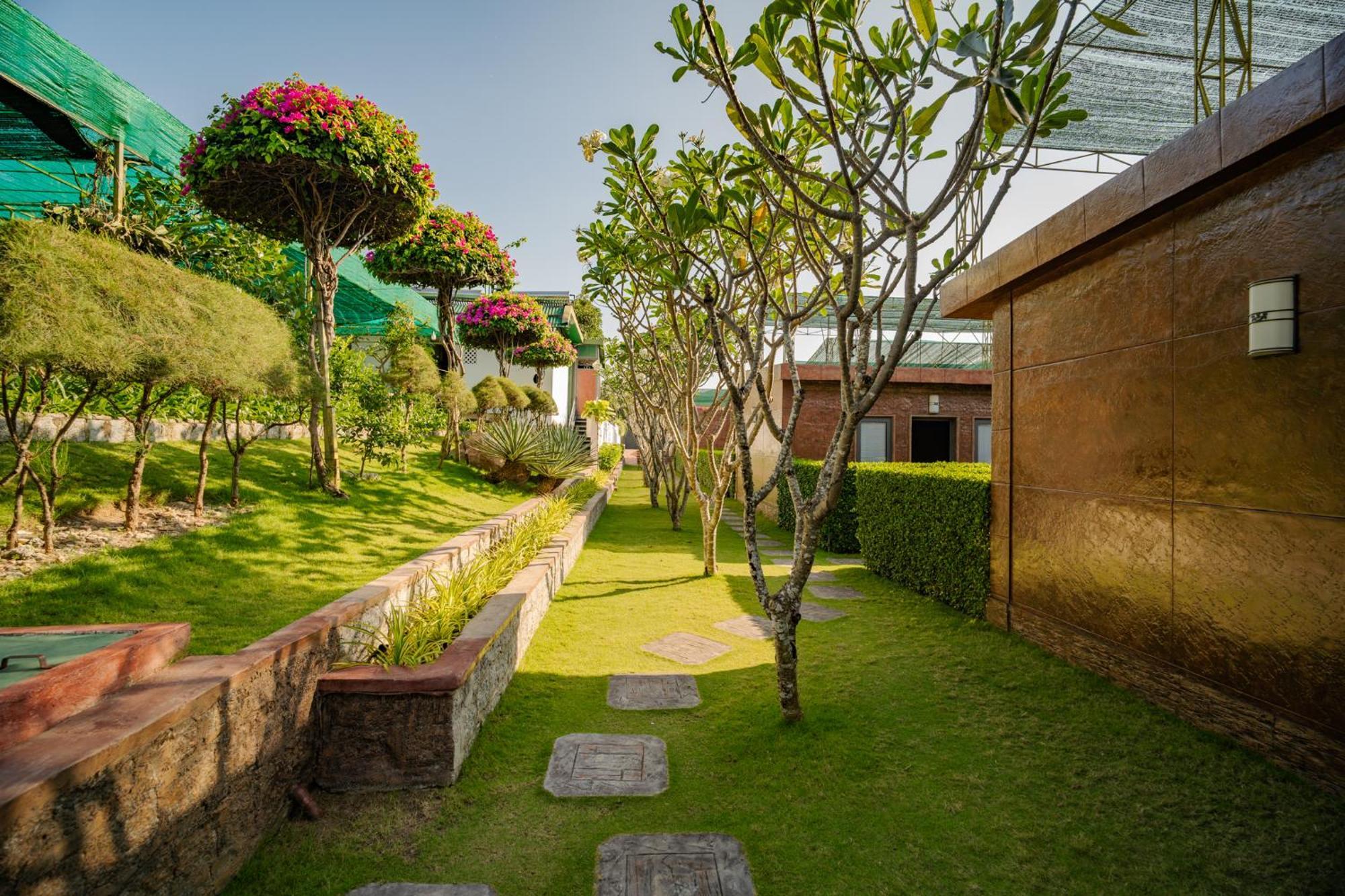 Oasis 4*