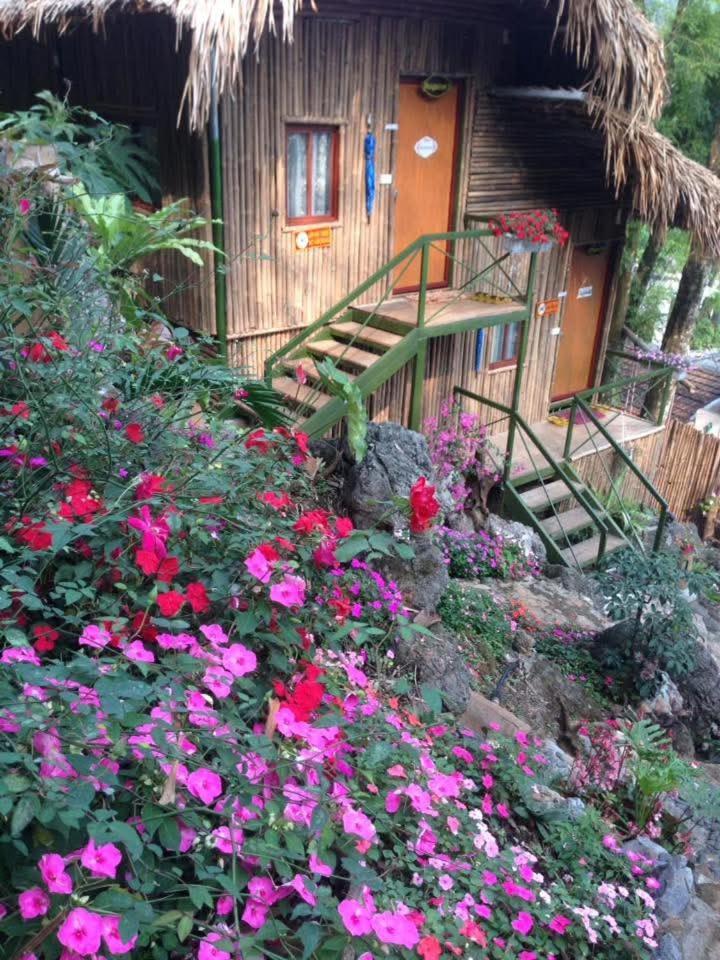 Hill & Tour Ha Giang