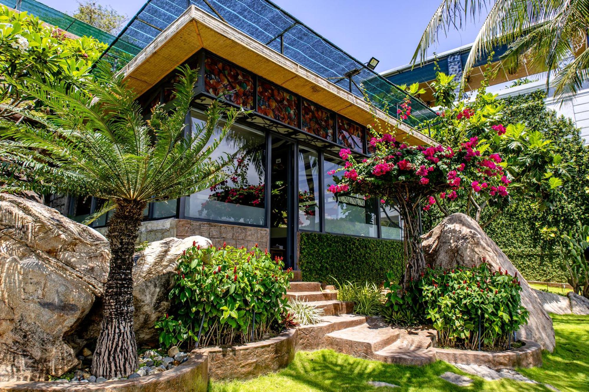Oasis