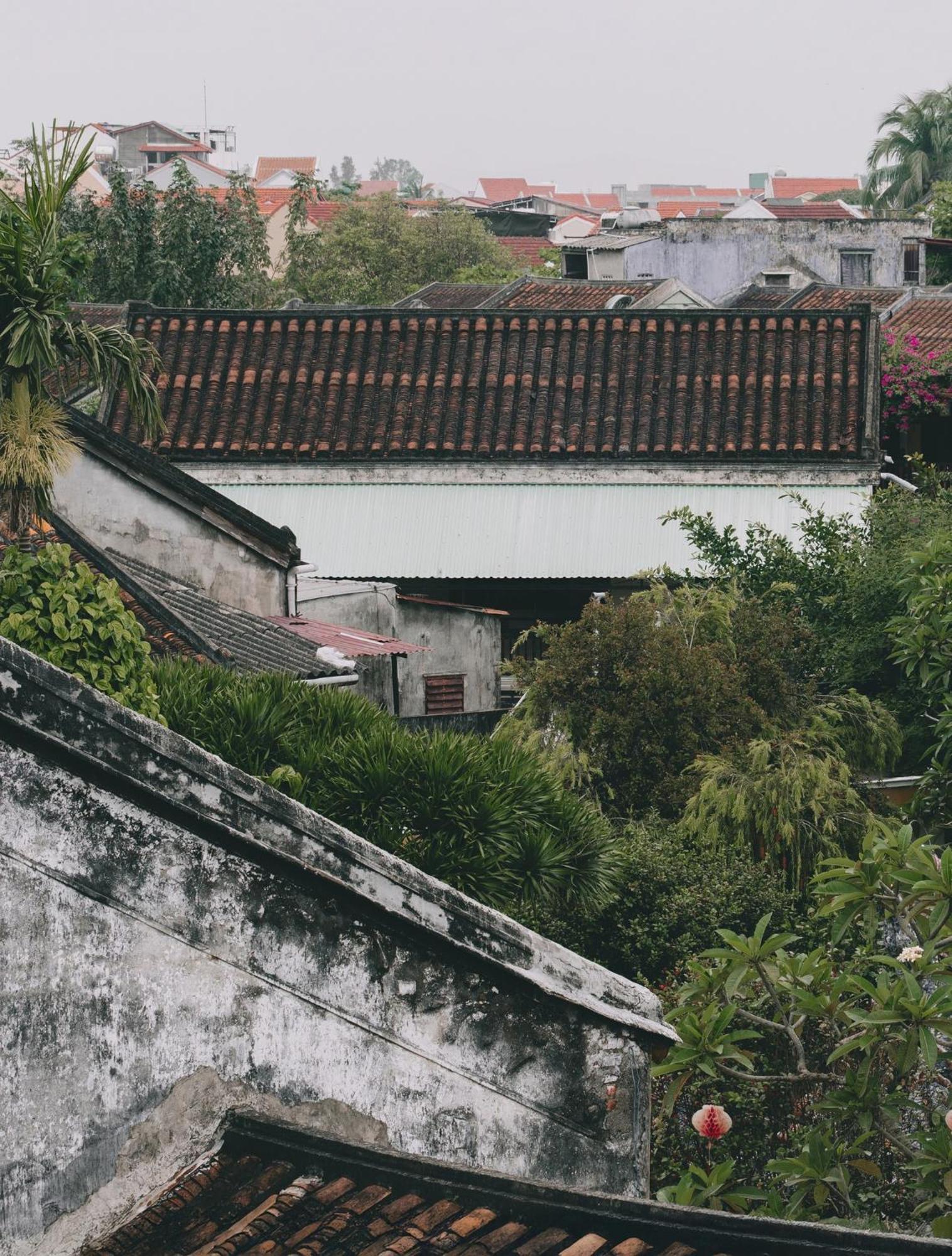 Hotel Cozy Savvy Hoi An - The Quintessence Of Exquisite Retreat