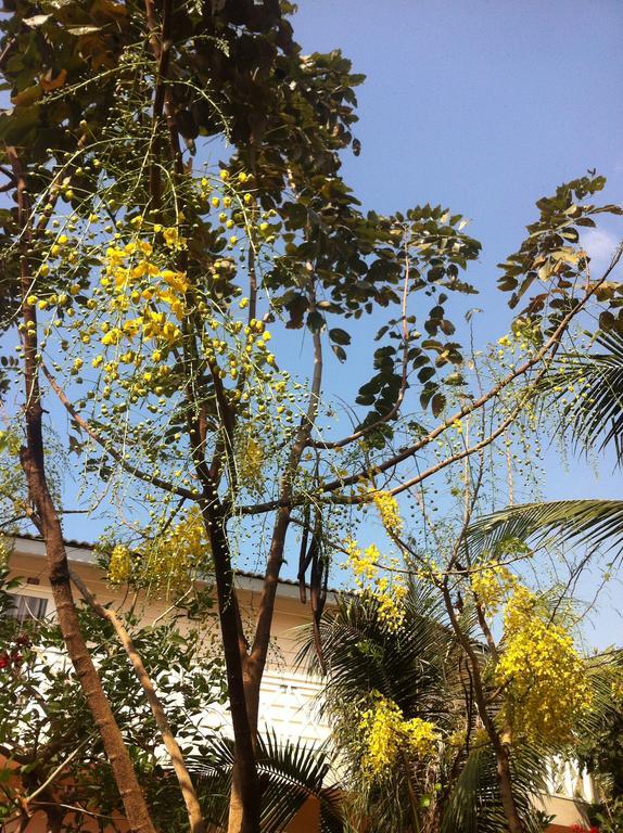Mui Ne Paradise Beach 3*