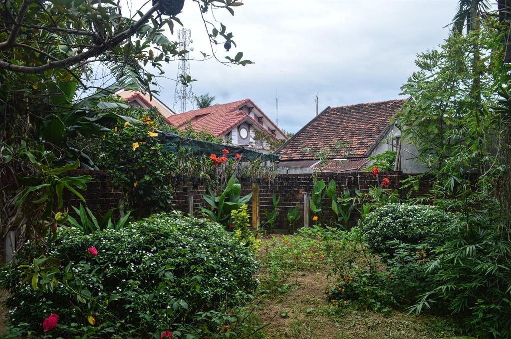 The Orchid Garden *
