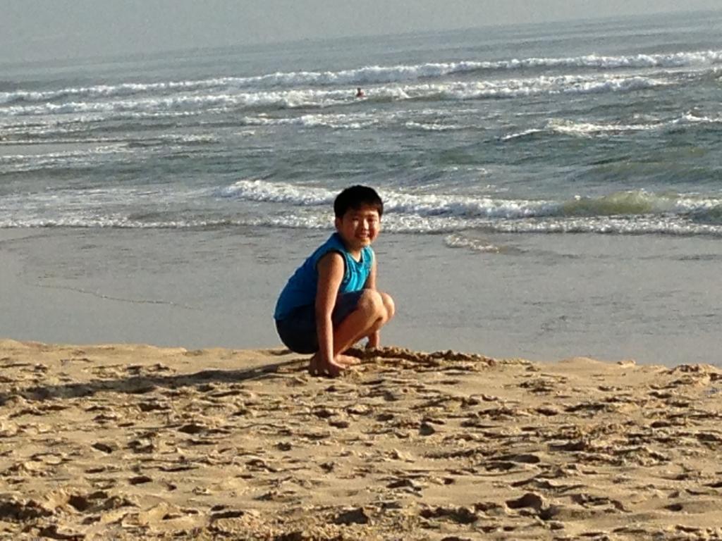 Sea Kite *