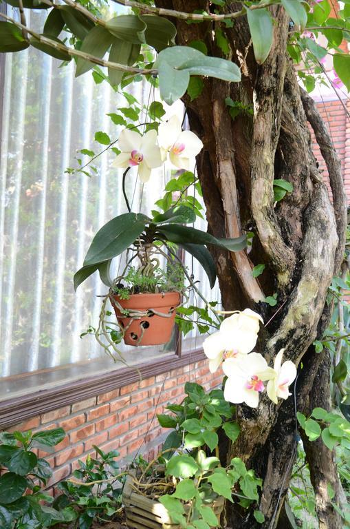 313 Cua Dai - Viet House Guest house