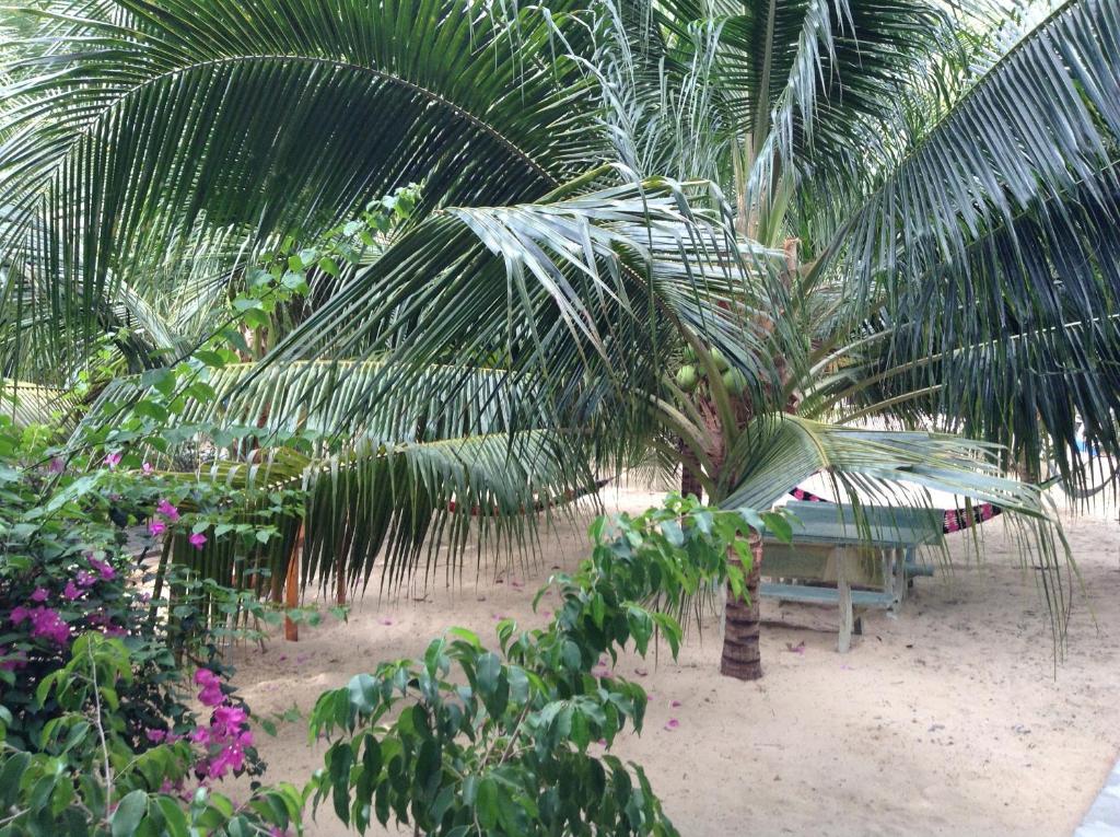 Cocosand Guest house