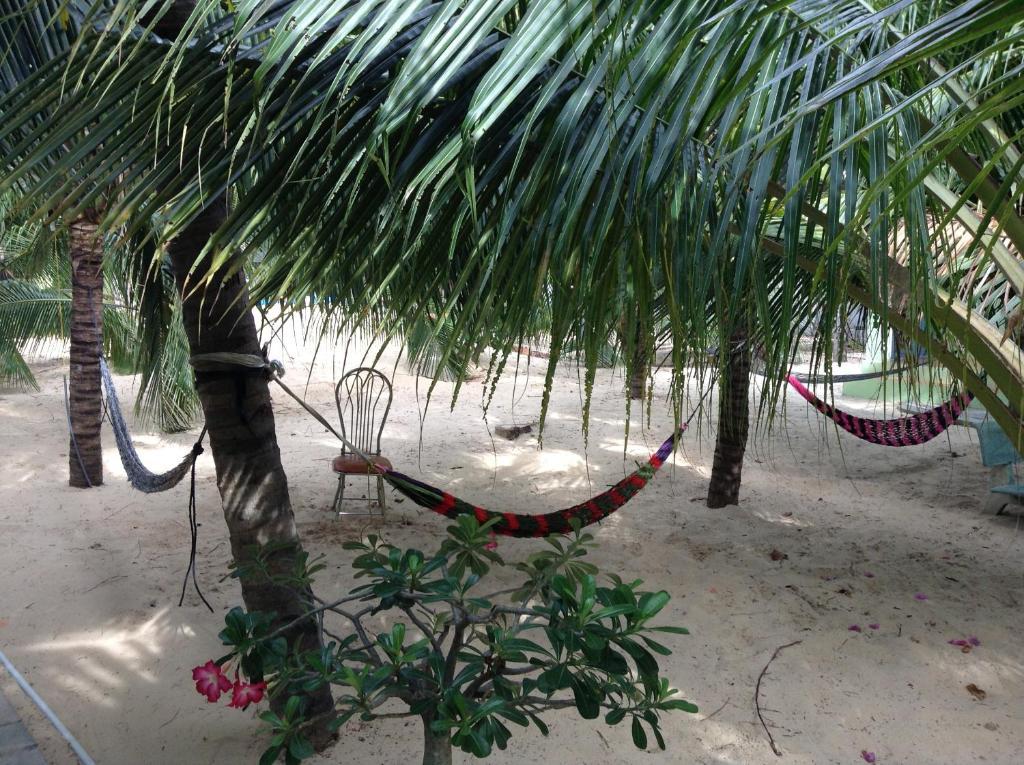 Guest house Cocosand 2*