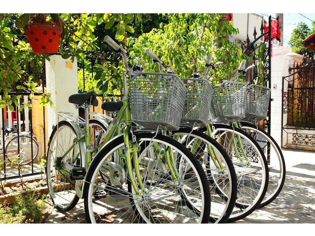 Sunny Garden Privatunterkunft *