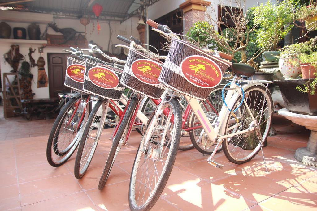 Golden Horse Hoi An
