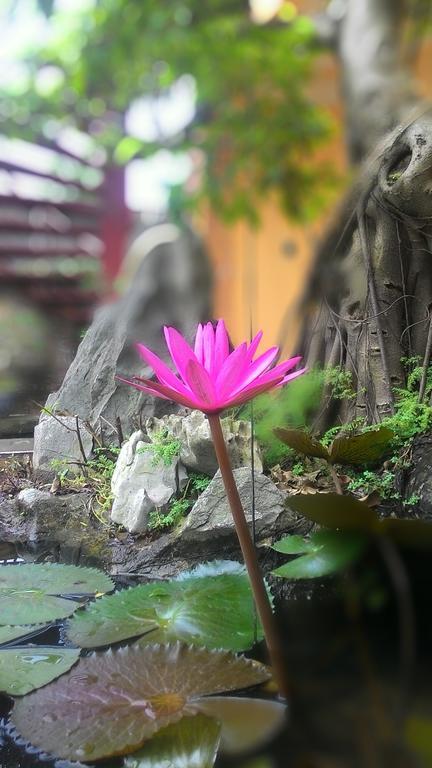 Tam Coc Homestay Ninh Binh