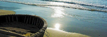 Dan Oasis And 2* Da Nang