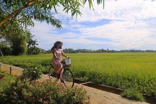 Riverside Oasis Biệt thự *