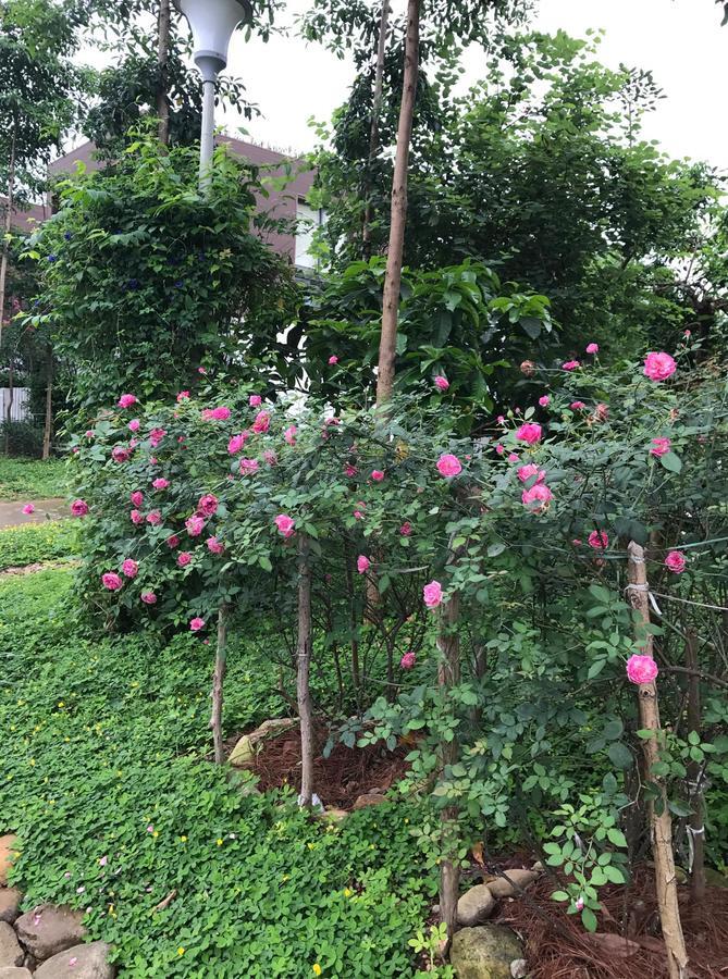 Flamingo Dailai - Hq Biệt thự