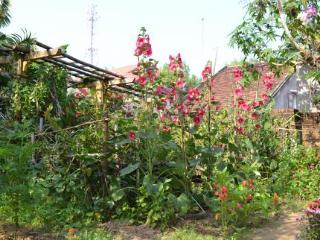 The Orchid Garden Villa