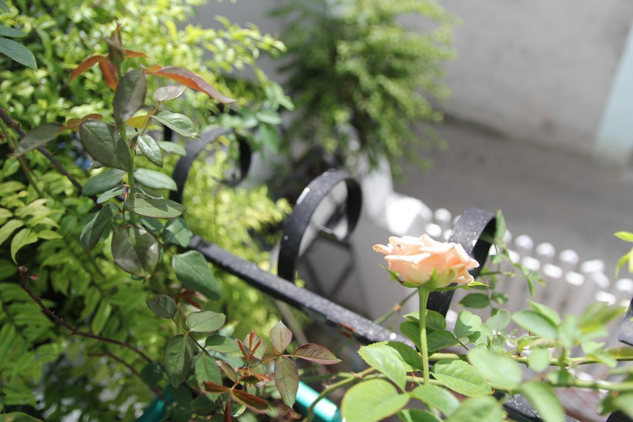 Rose Garden 2 Apartment *