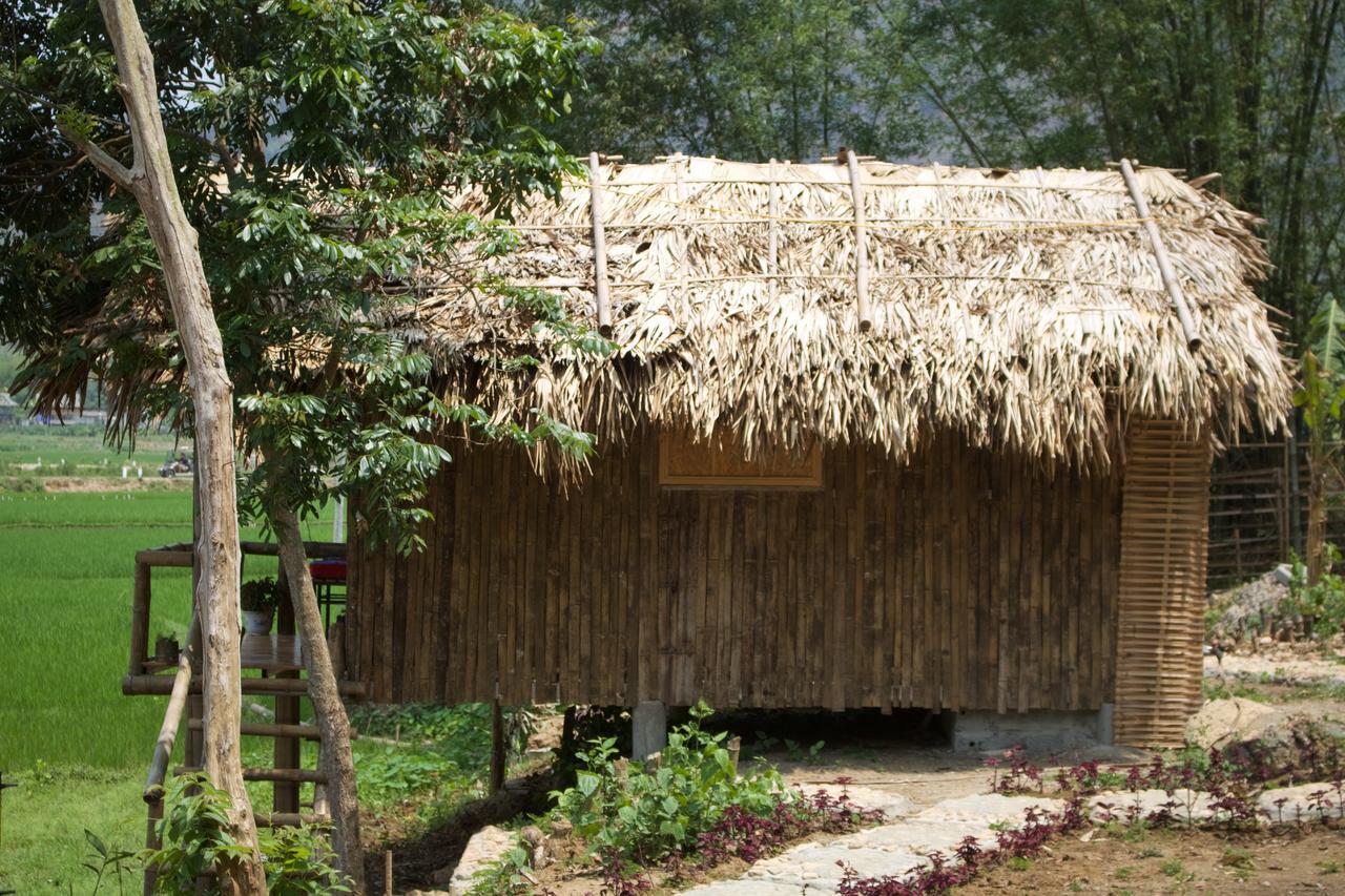 Homestay Little *