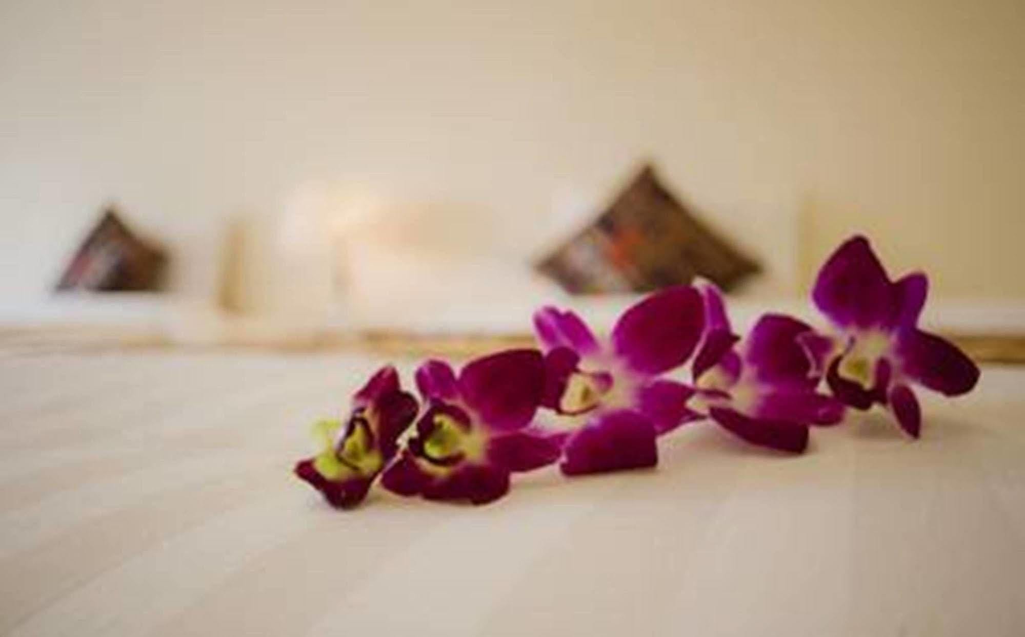 Hotel Besea 2*