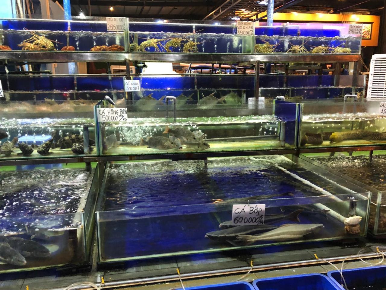 Aparthotel Ho Nghi Duong Muong Thanh Da Nang