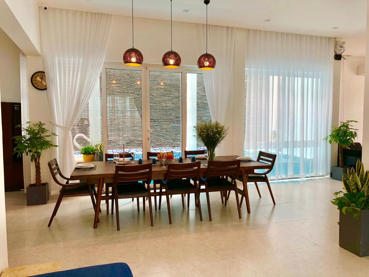 Camellia * Da Nang