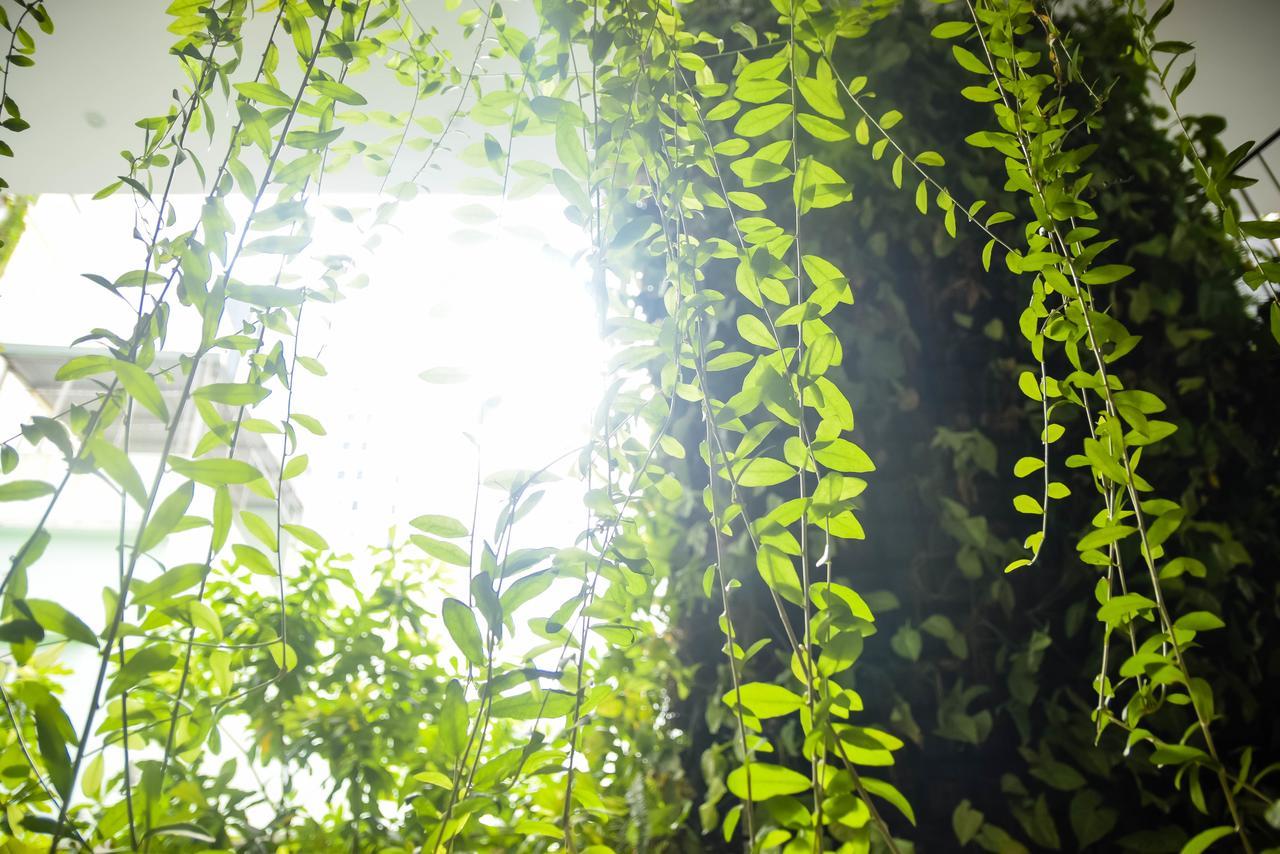 Babylon Garden