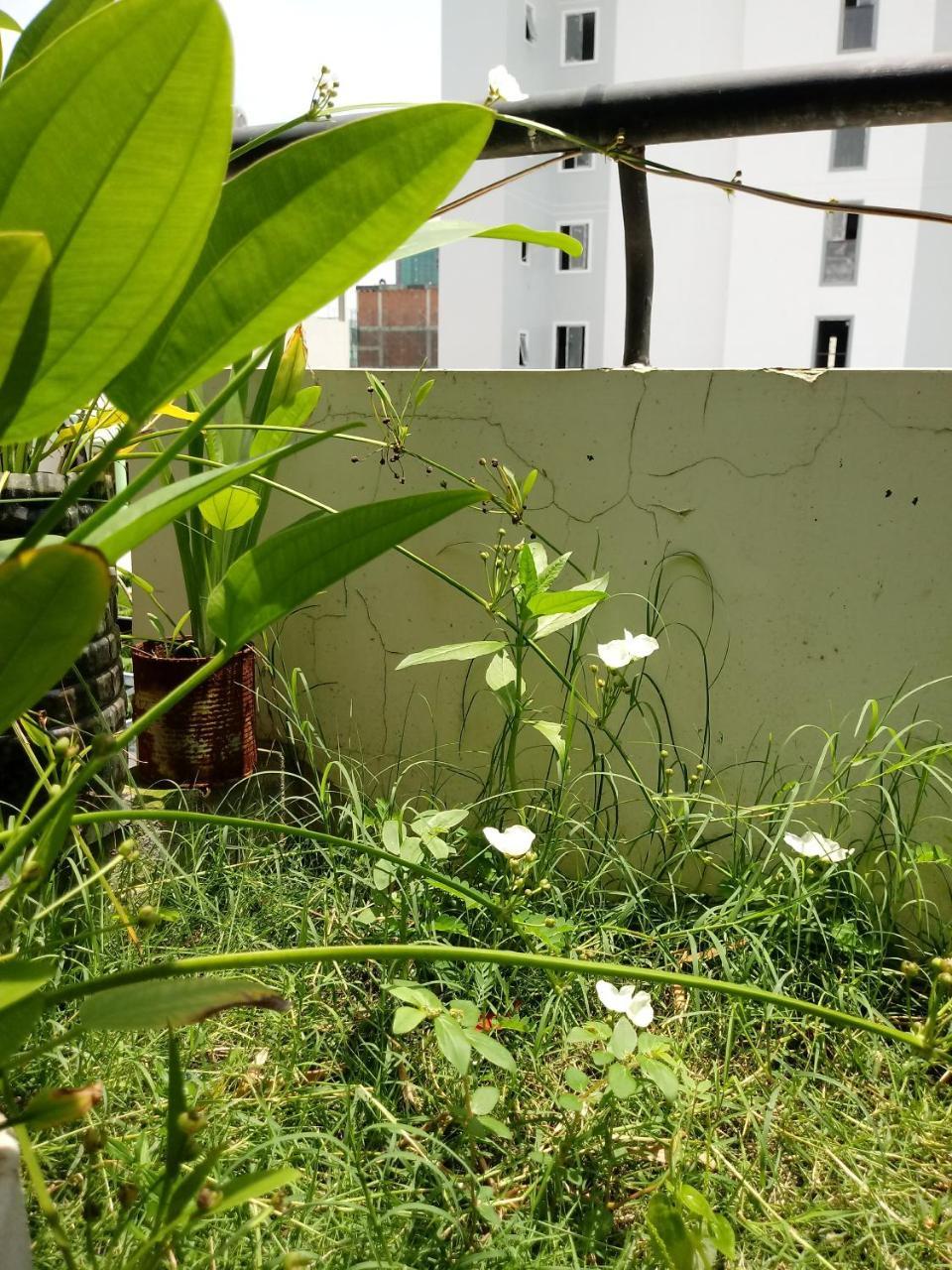 Funny House Nha Trang