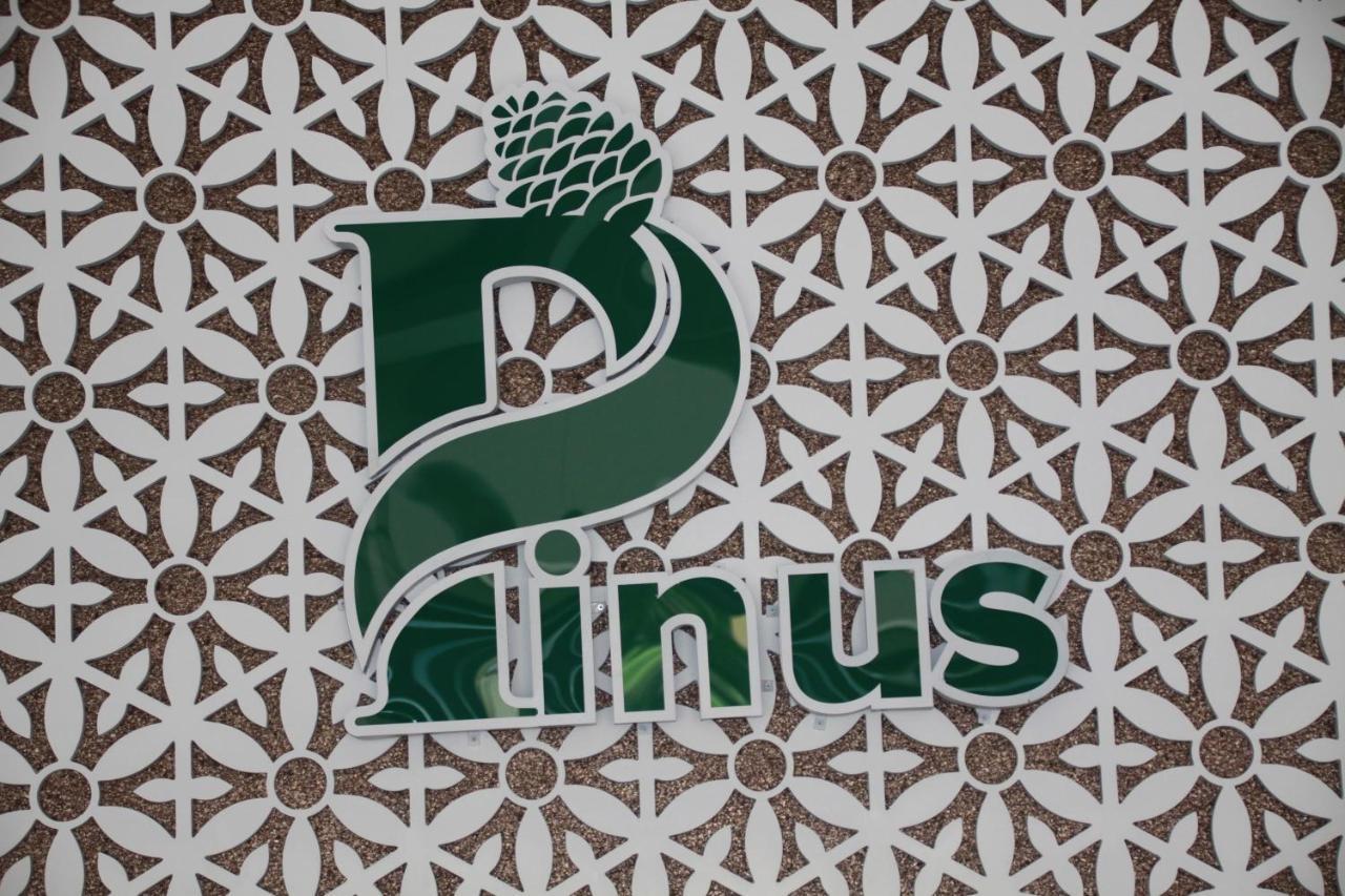 Pinus Da Lat