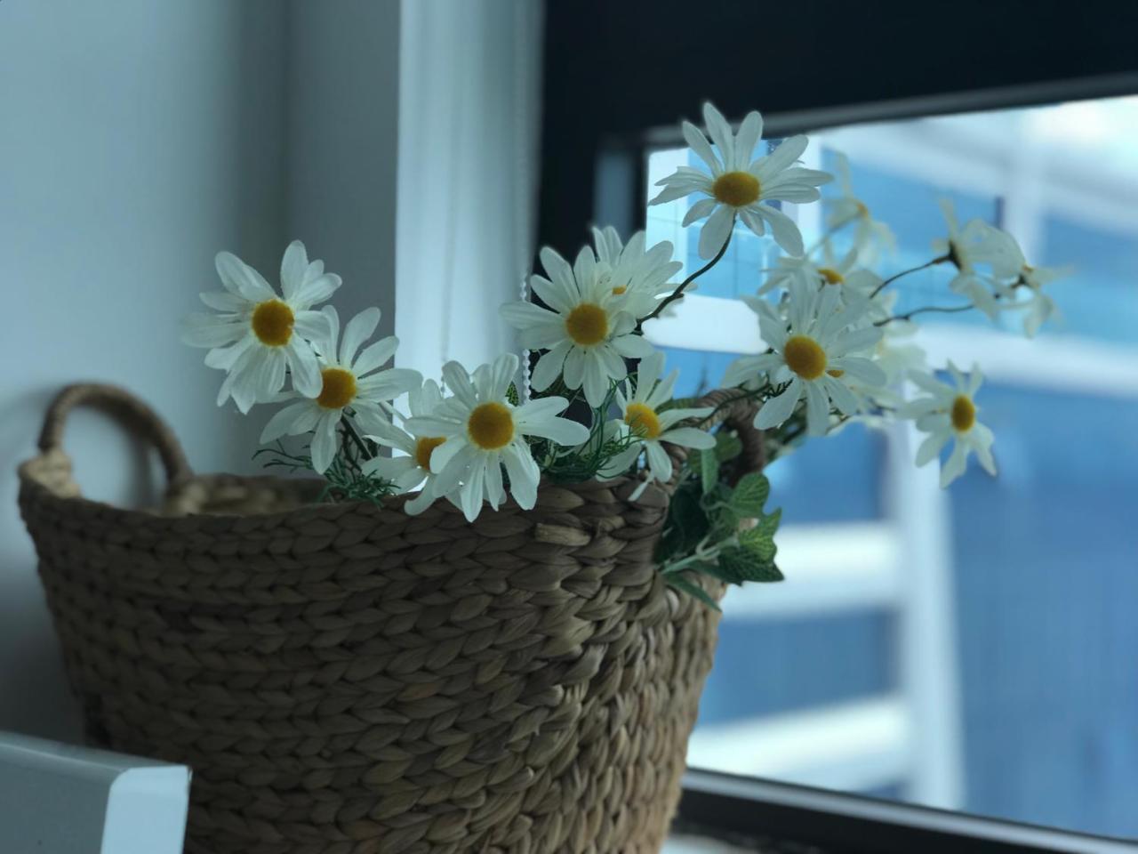 Daisy 1 View Apartment