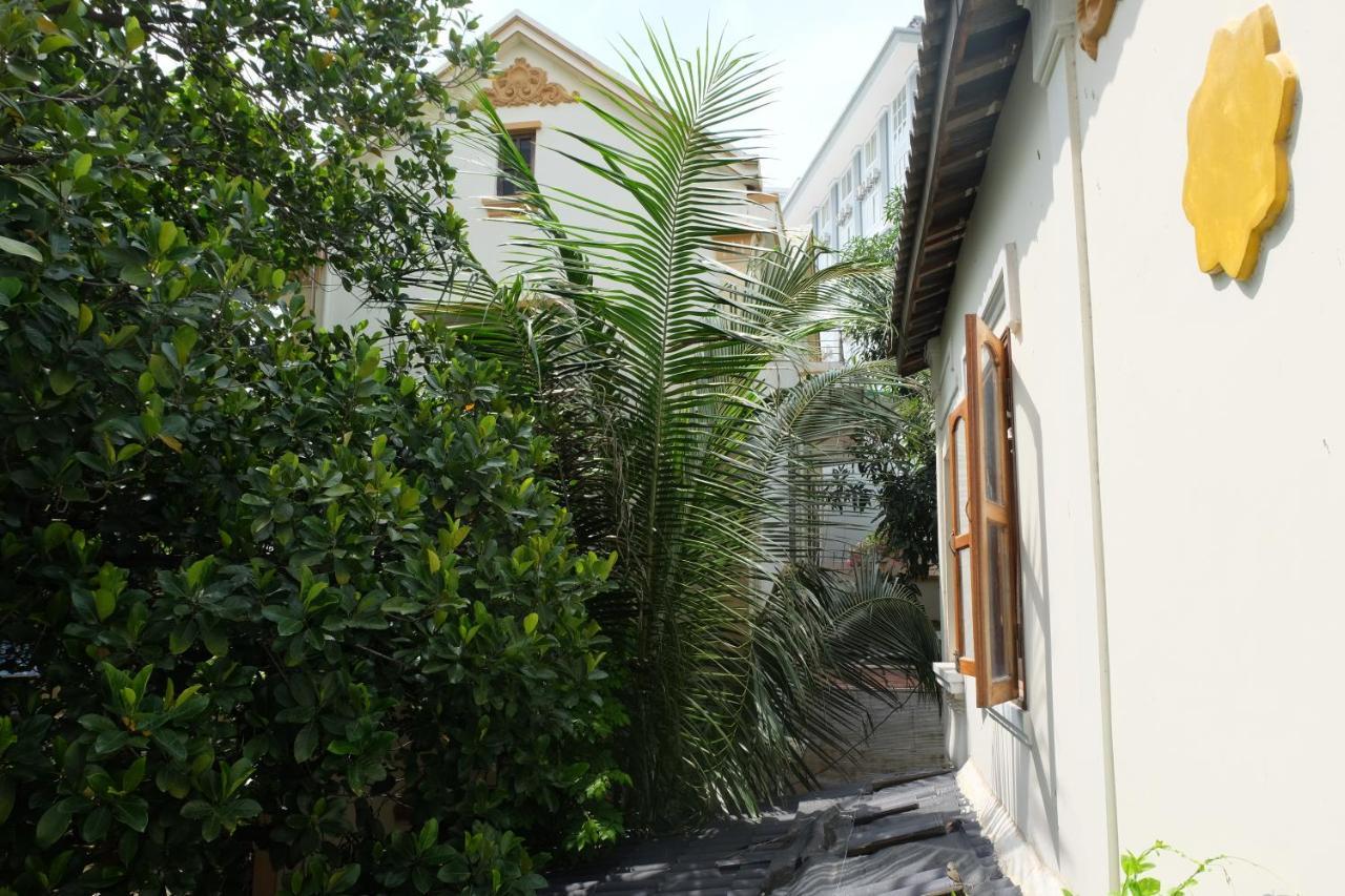 Moon House Tropical Garden - Lavender Guest house *
