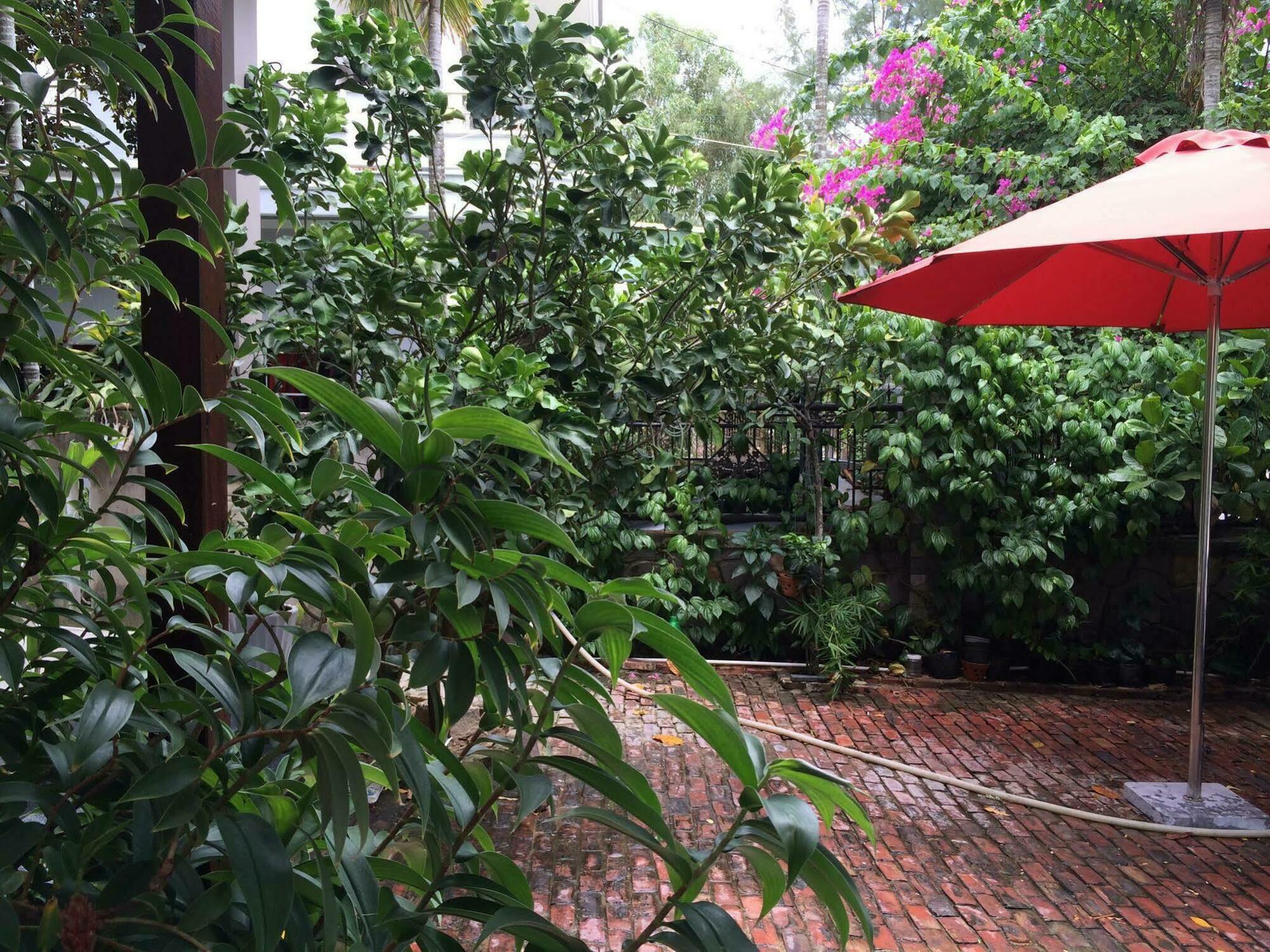 Homestay Mama's House *