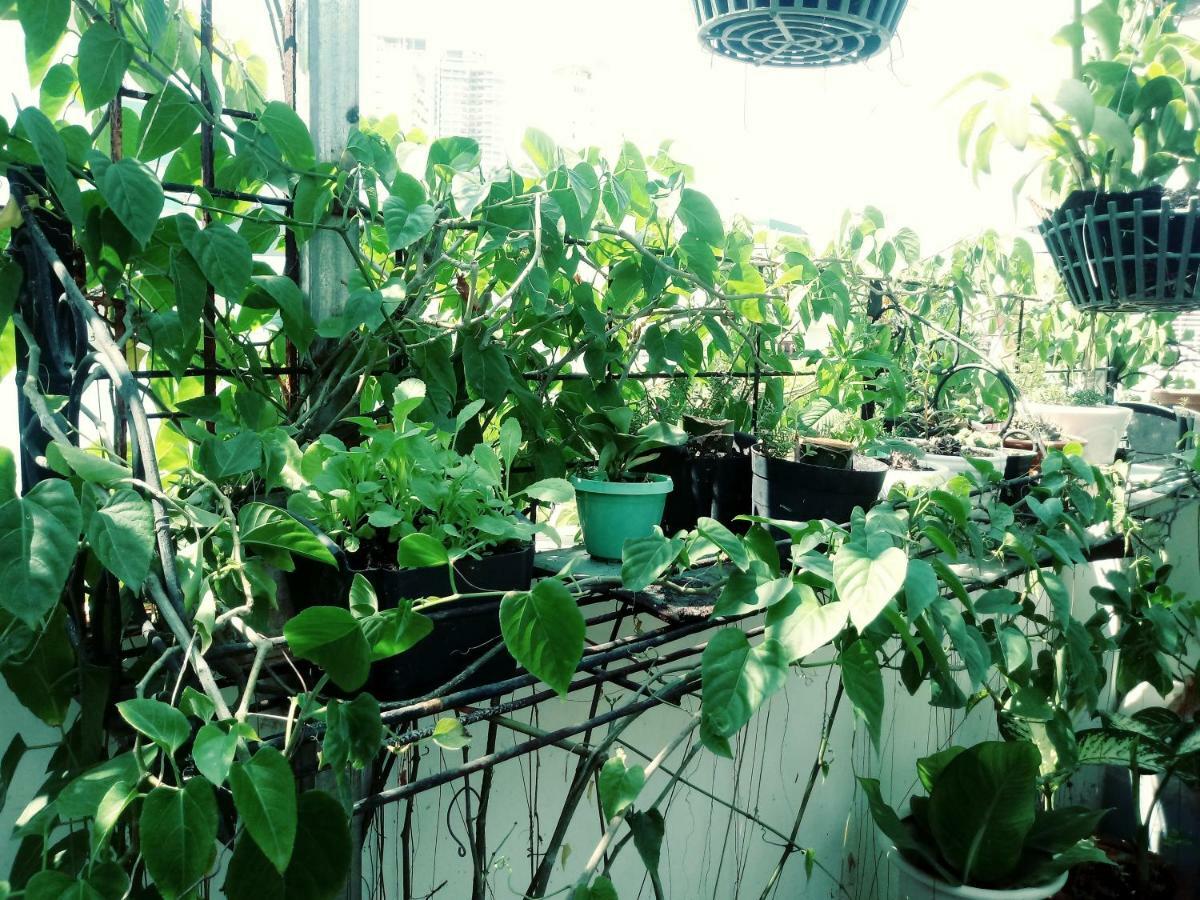 Funny House * Nha Trang
