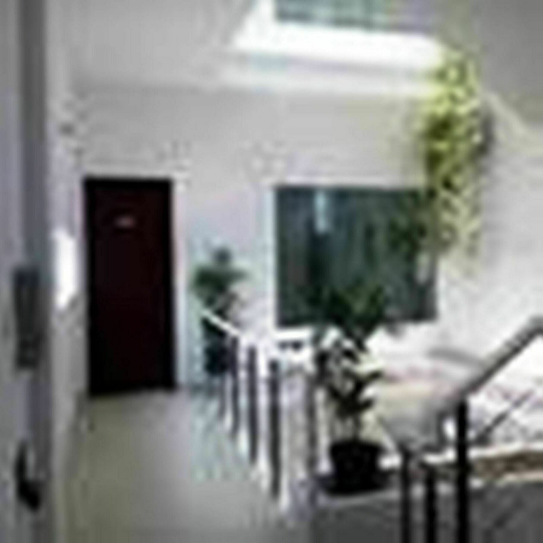 Guest house Yen Tran 2*