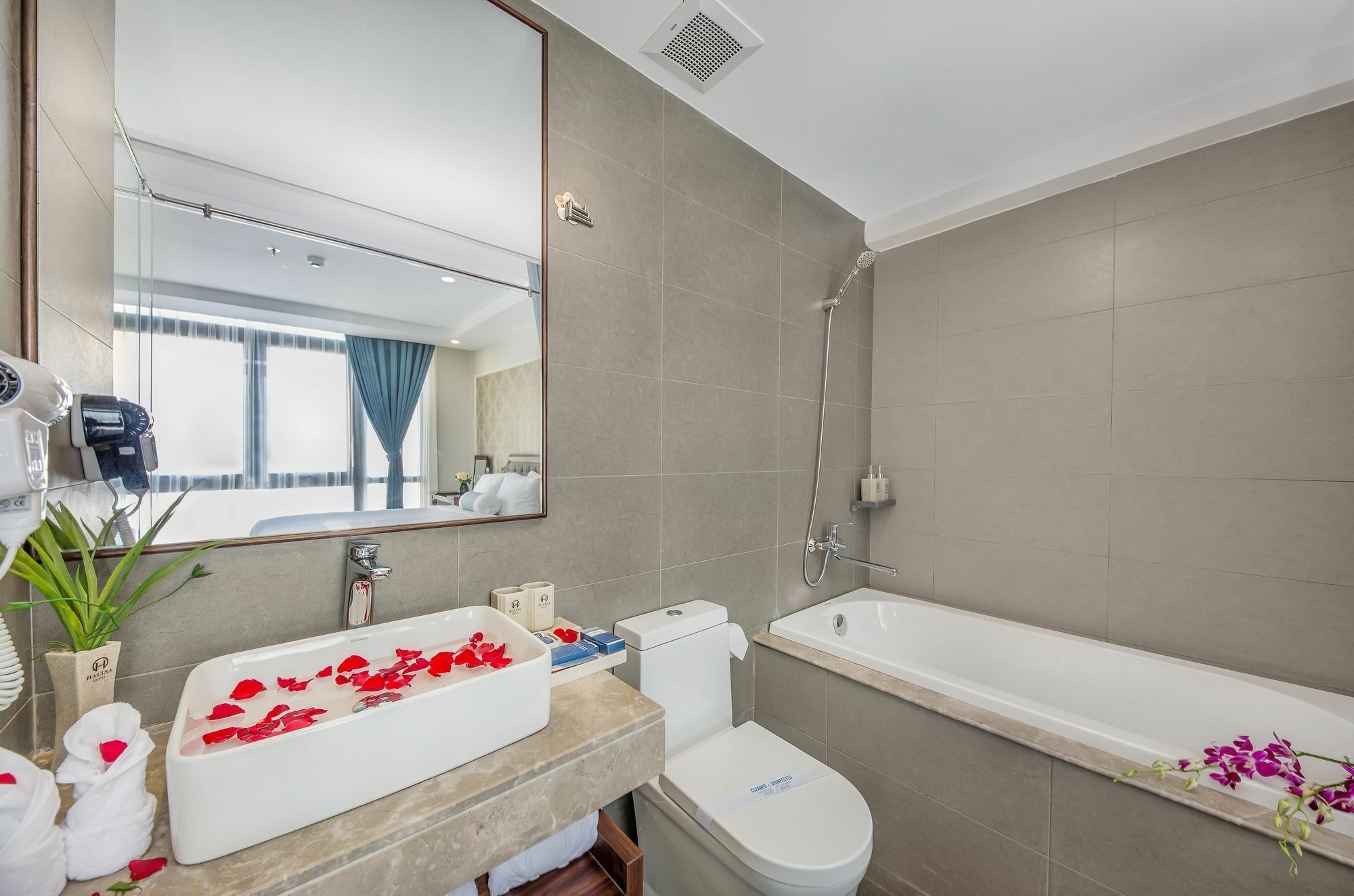 Và Căn Hộ Halina 4*