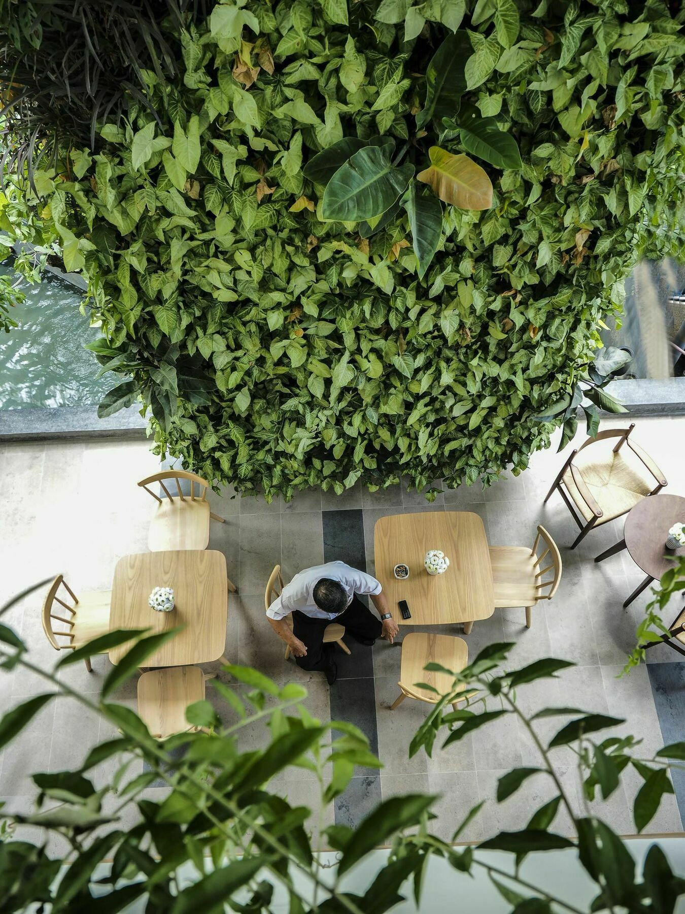 Babylon Garden
