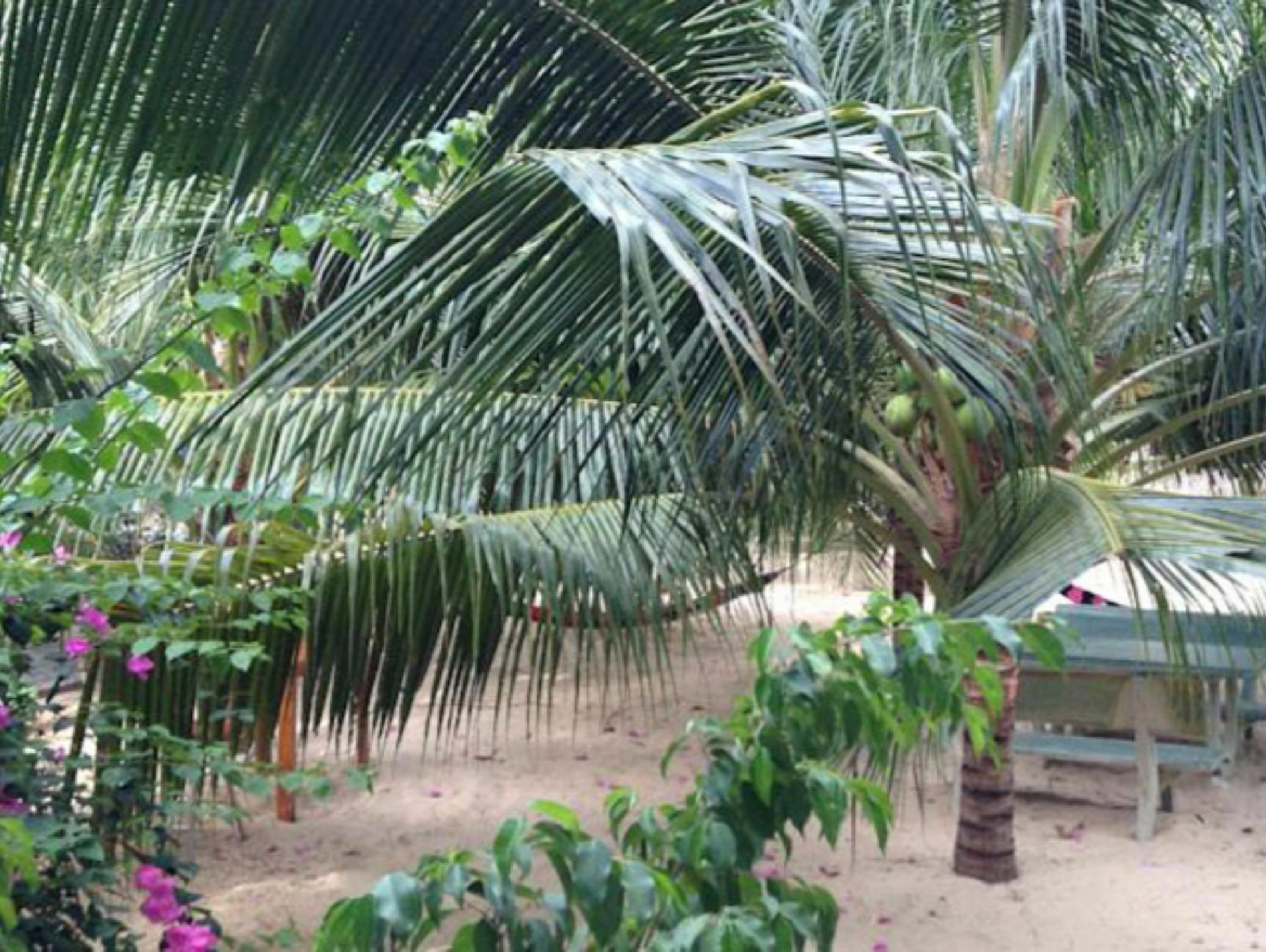 Cocosand Guest house Phan Thiet