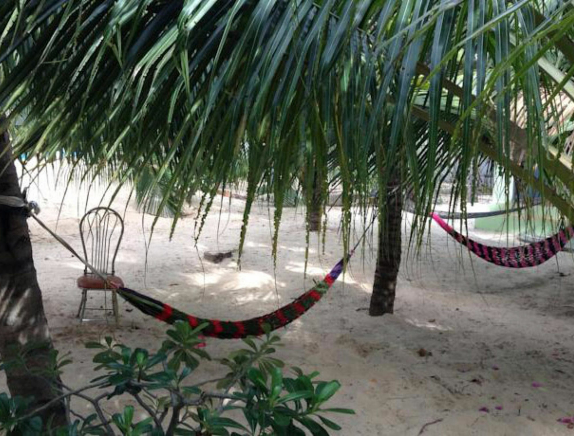 Cocosand Guest house 2*