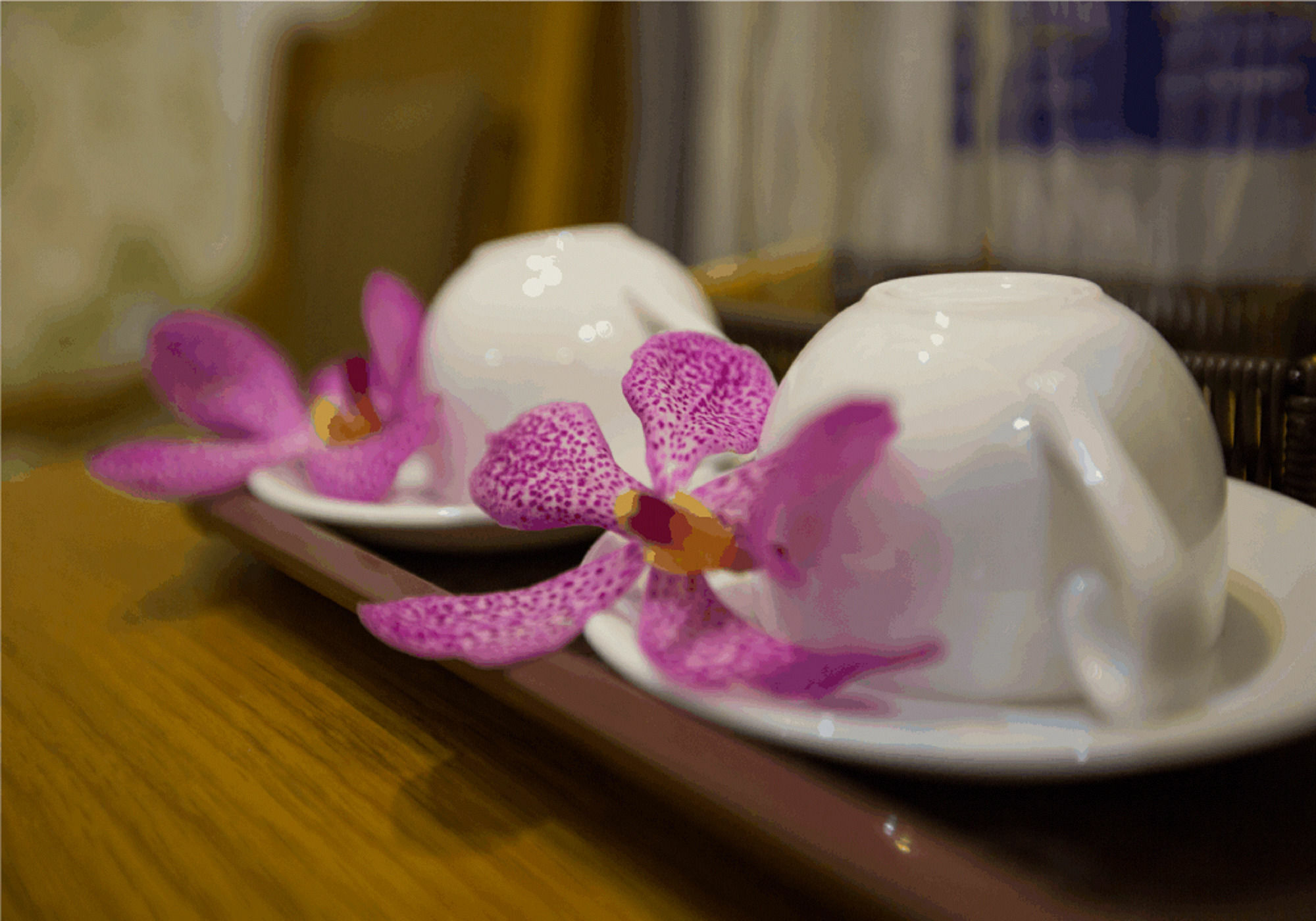 Hotel New Space Airport Ho-Chi-Minh-Stadt