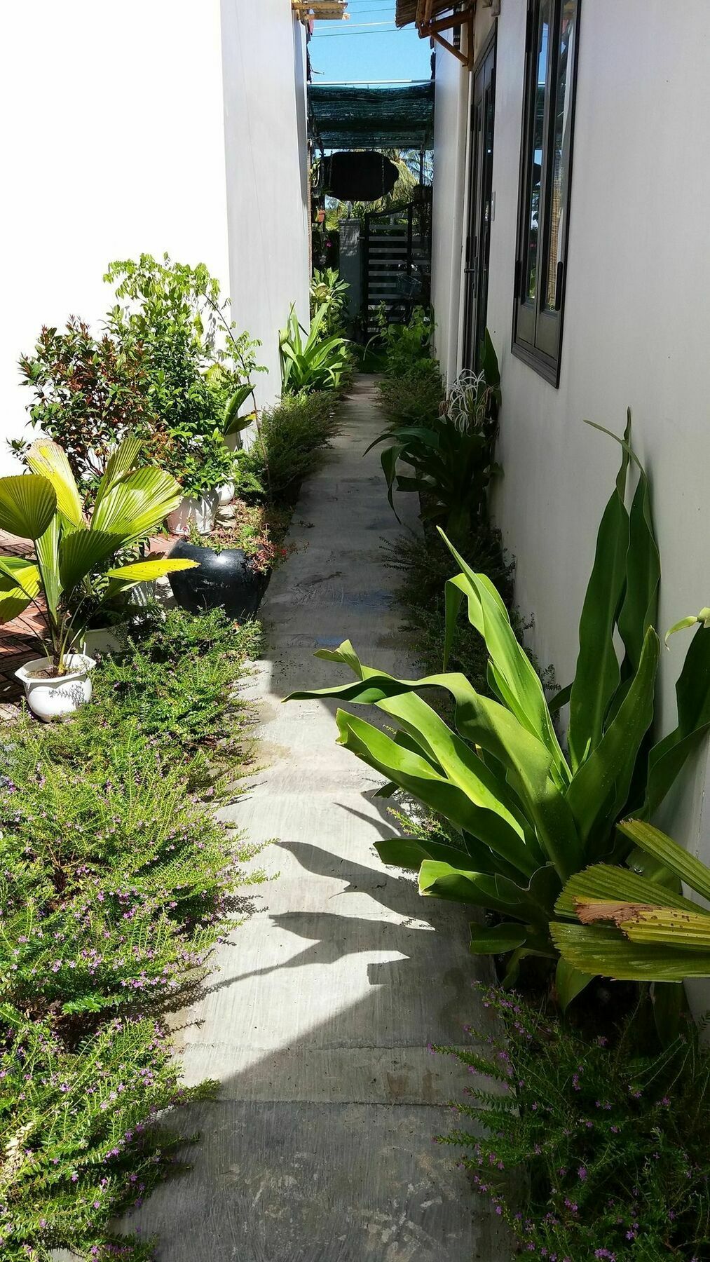 Lido Biệt thự *