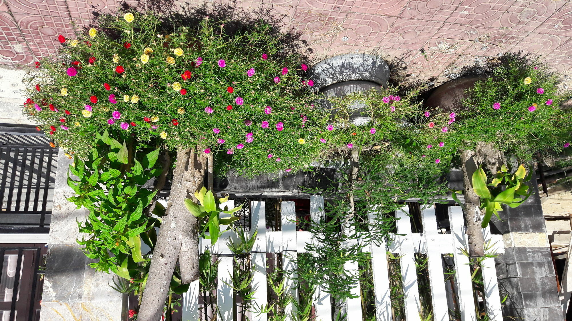 The House 36 Privatunterkunft Hoi An
